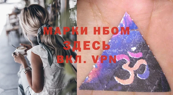 стаф Баксан