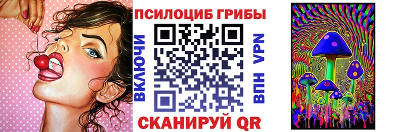 хочу наркоту  Новоузенск  Галлюциногенные грибы Psilocybine cubensis 